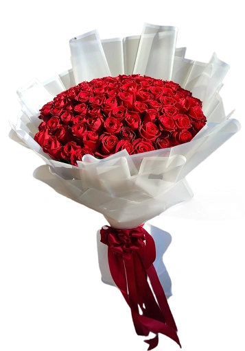 دسته گل رز قرمز لوکس با بیش از 70 شاخه گل رز قرمز تازه، با بسته‌بندی کاغذ سفید مات و تزیین با ربان ابریشمی قرمز. هدیه‌ای ایده‌آل برای مناسبت‌های خاص مانند ولنتاین، سالگرد و مراسم‌های عاشقانه.